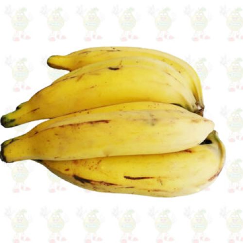 solofruver precios bajos